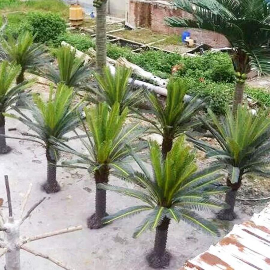 Decorative Artificial Plants Sago Cycas Palm Tree