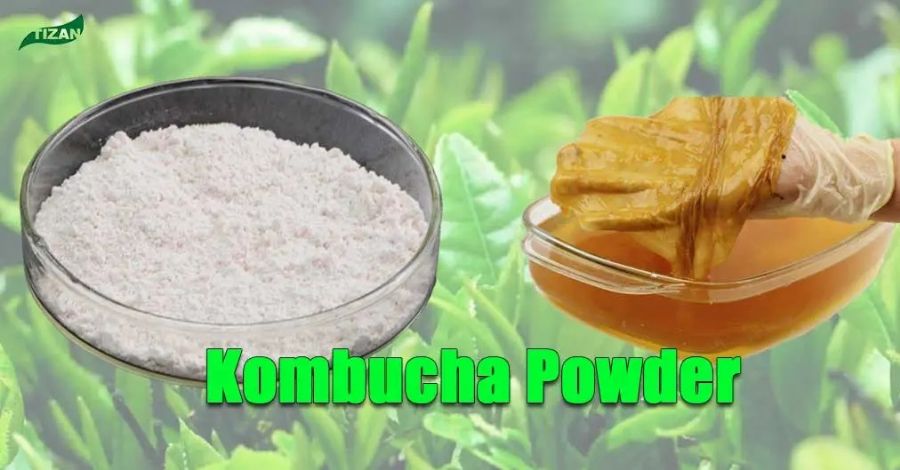 Kombucha_Powder_Kombucha_Liquid