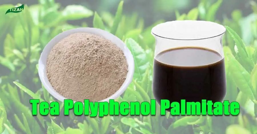 Tea Polyphenol Palmitate