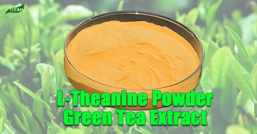 L_Theanine_Powder_Green_Tea_Extract