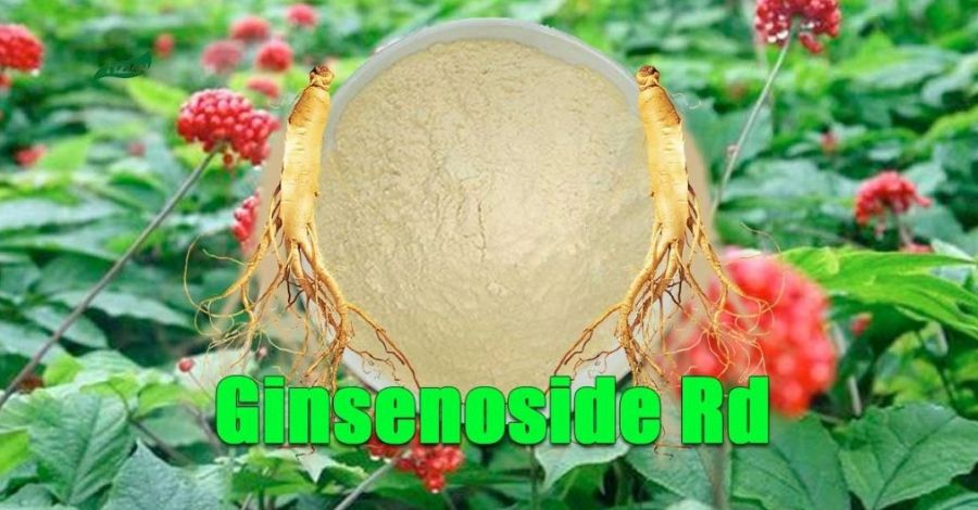 Asian_Ginseng_Extract_Ginsenoside_Rd_Powder
