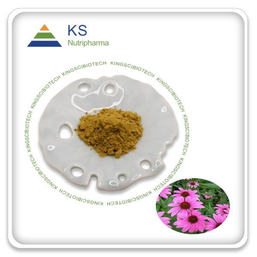 Echinacea_Purpurea_Extract_Polyphenols