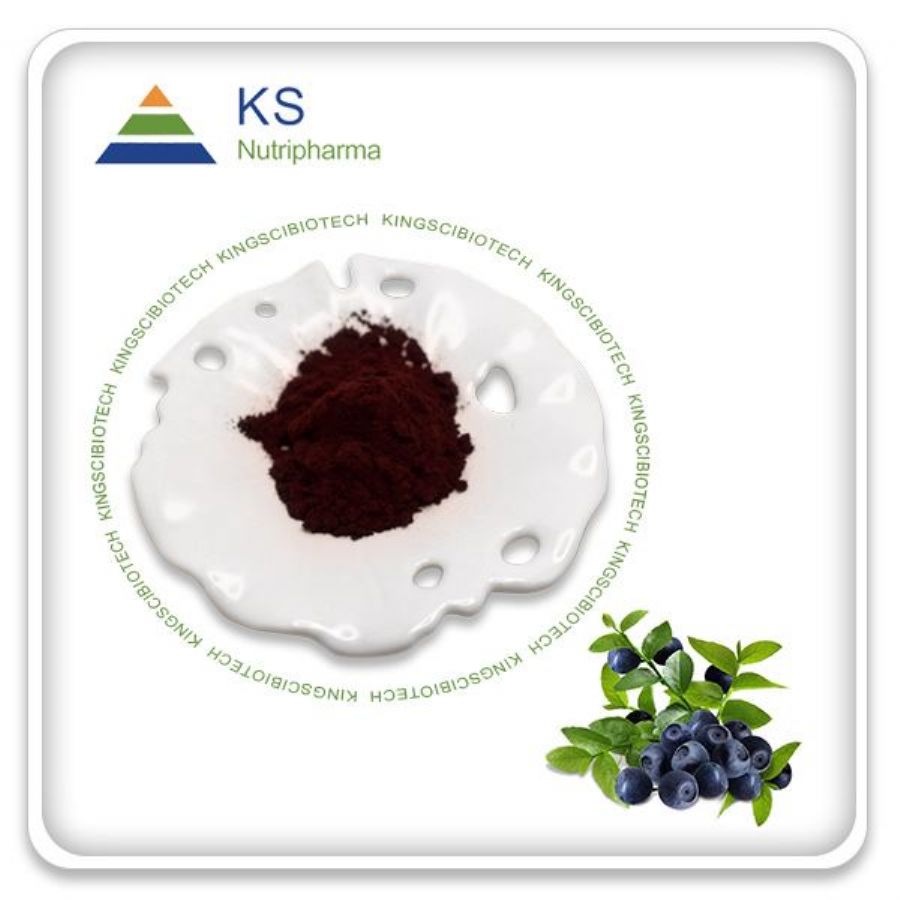 Bilberry_Extract_Powder