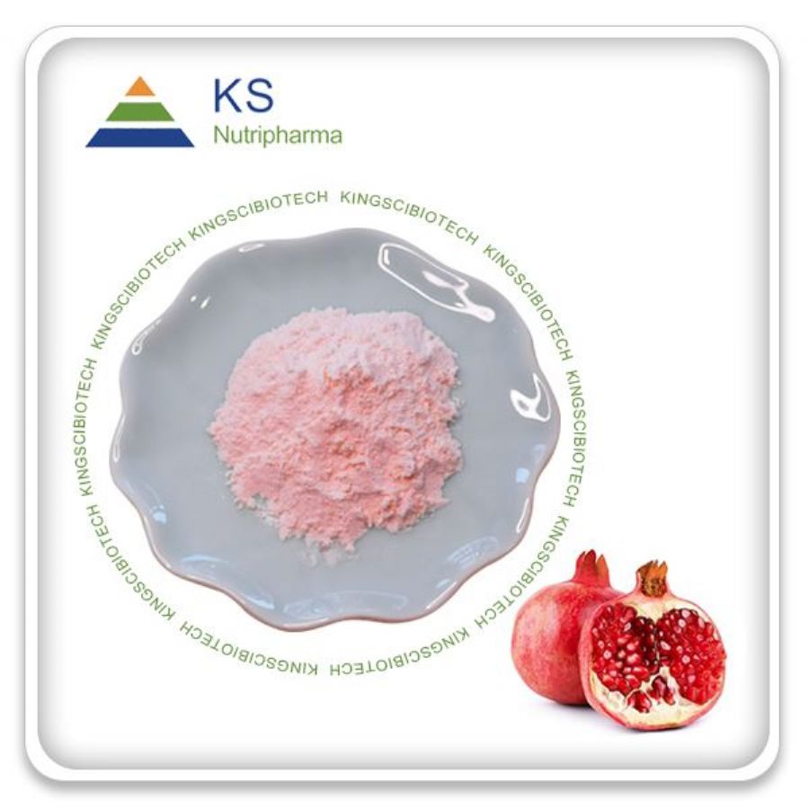 Pomegranate Juice Powder