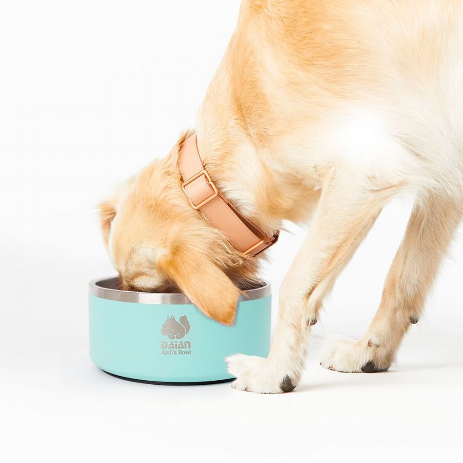 Puppy Food Bowl Stainless Steel Non-Slip Dog Bowl