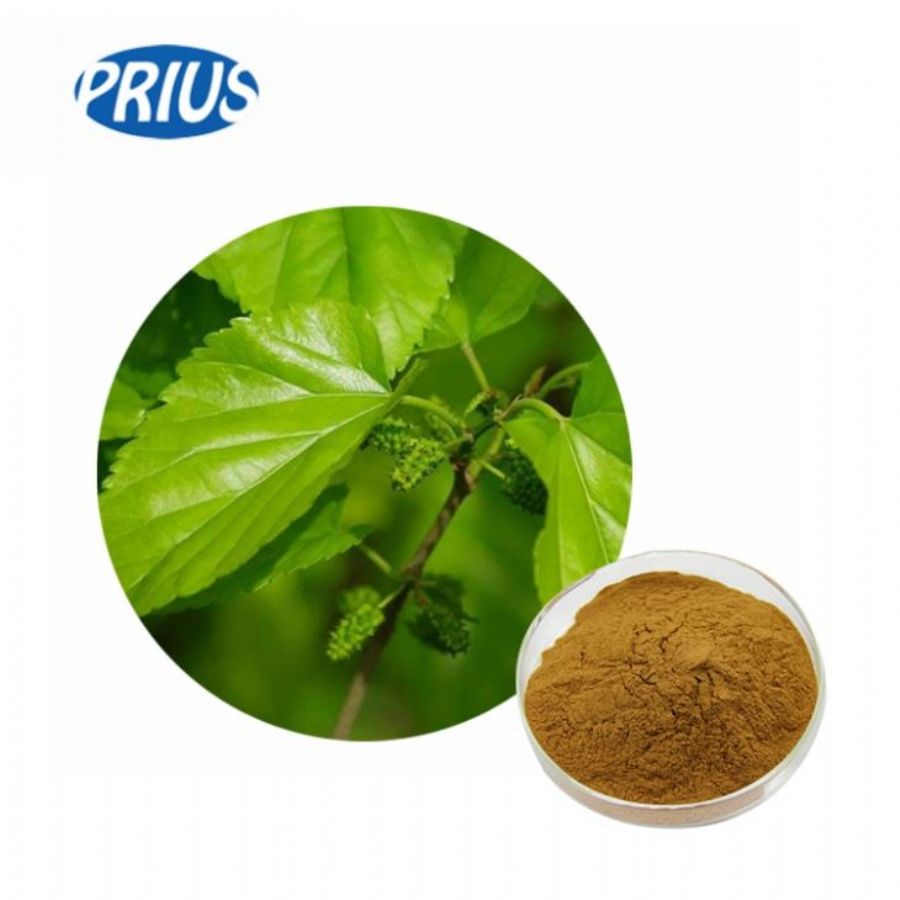 Mulberry_Leaf_Extract_Weight_Loss