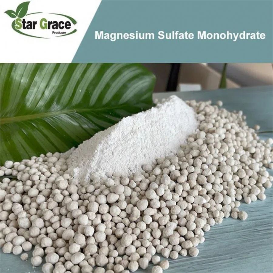 Magnesium-Sulfate-Monohydrate