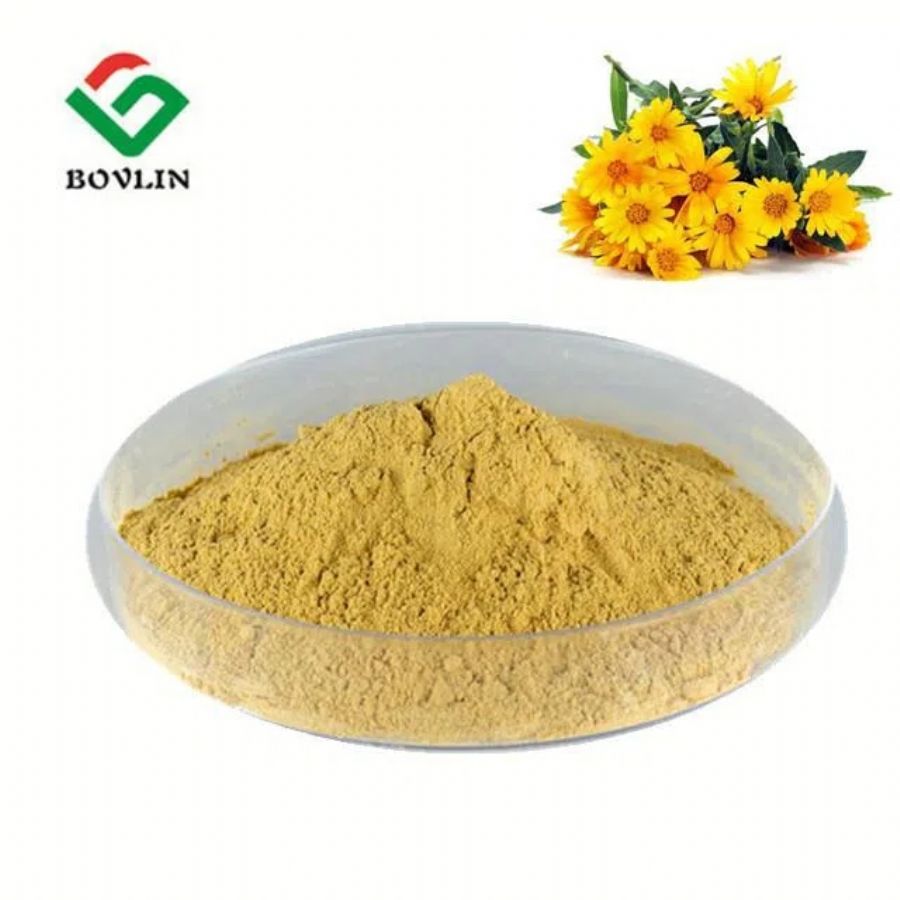 Chrysanthemum Indicum Extract