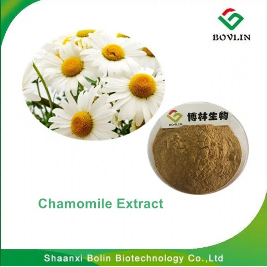 Chamomile Extract Apigeninct