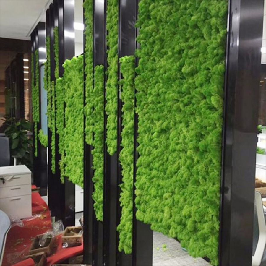 High quality long lasting living moss grass wall decoration art preserved