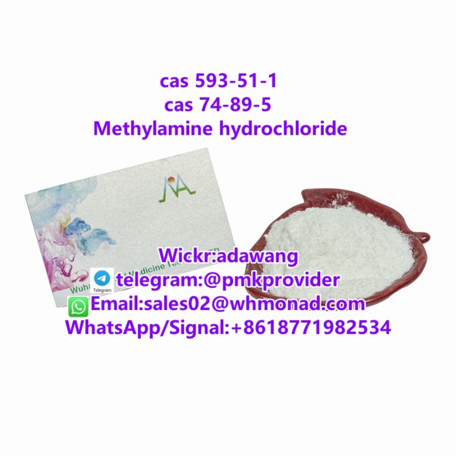 top quality of Methylamine hydrochloride cas 593-51-1 