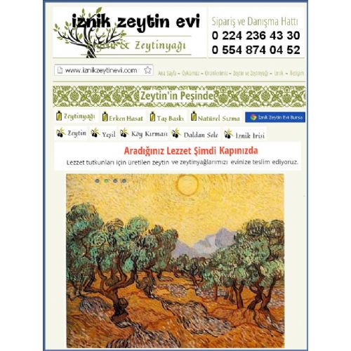 Zeytin ve Zeytin Yağ