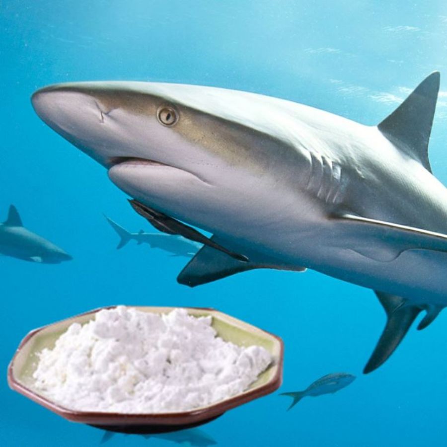 85% Natural Raw Material Shark Chondroitin Sulfate Sodium Salt