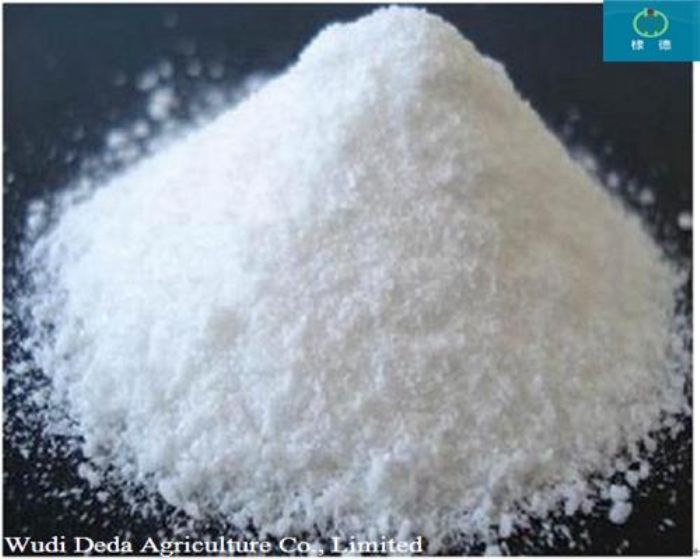 Feed Grade Dicalcium Phosphate DCP Feed Additives Poultry And Livestocks Feed Additives