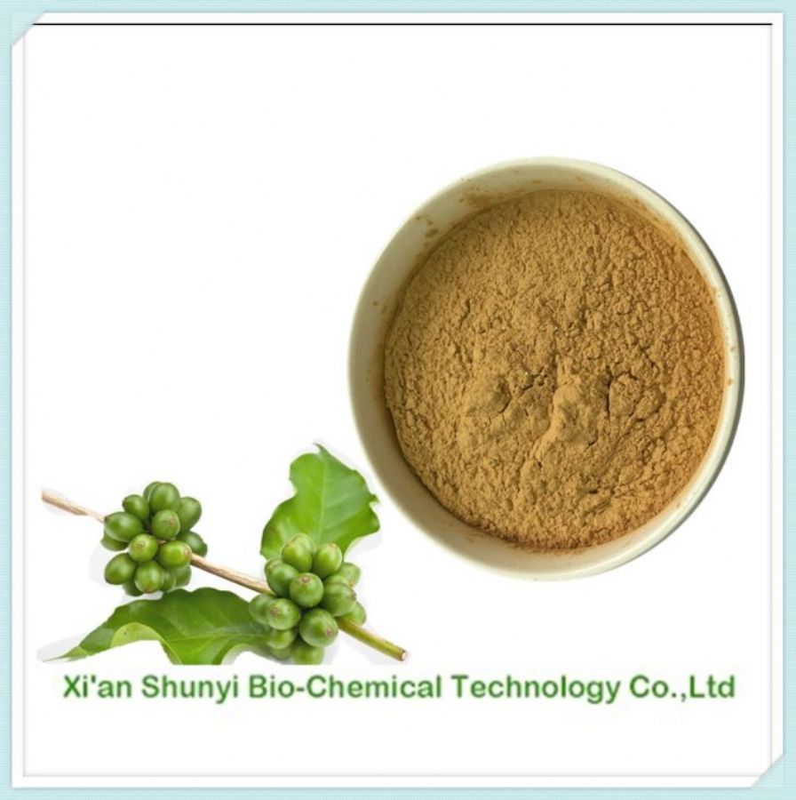 Green Coffee Bean Extract | Natural Green Coffee Bean Extract Chlorogenic Acids