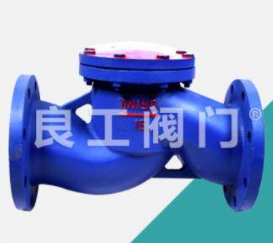 Check Valve