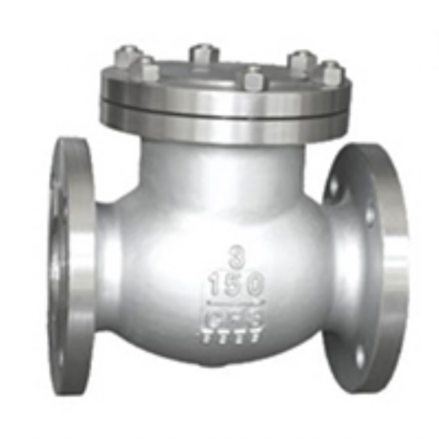 Swing Check Valve