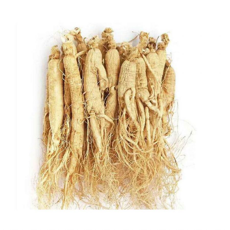 Korean ginseng extract/Red ginseng extract