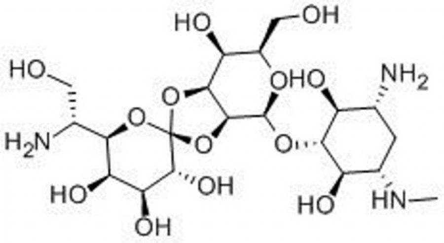 Hygromycin B-factory