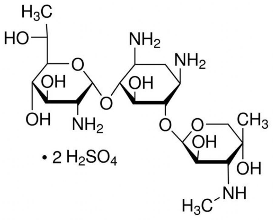 Antibiotic G418
