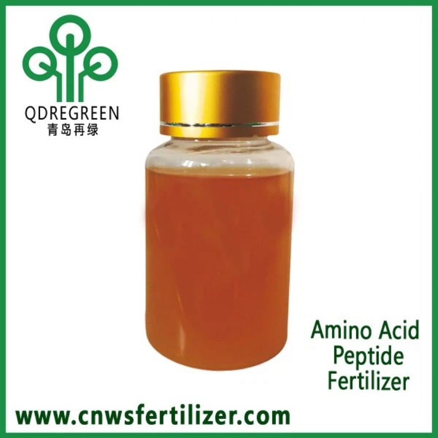 Amino Acid Peptide L