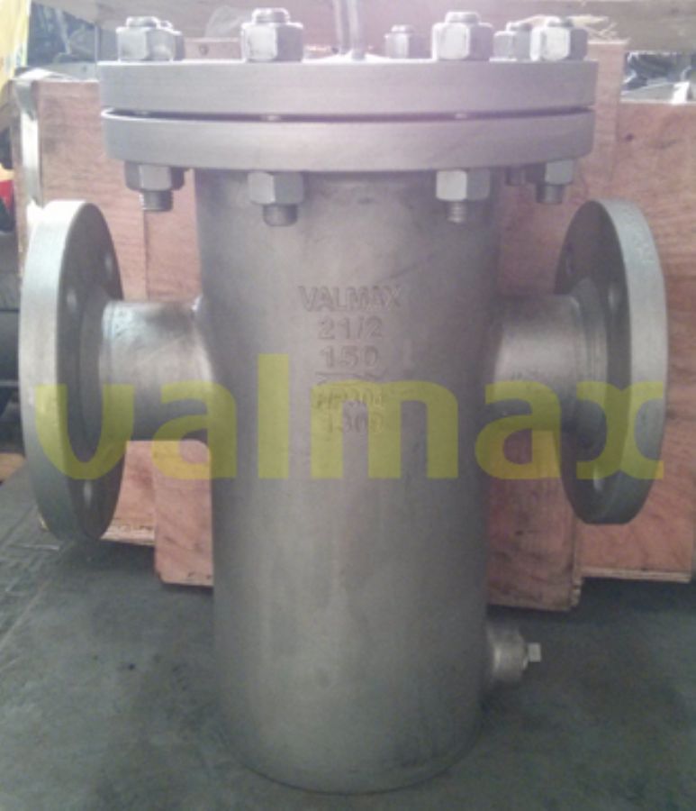 Valmax pipe strainer