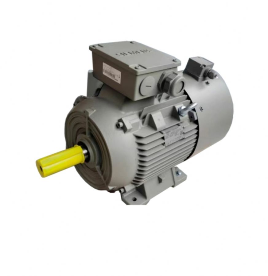 SIEMENS Electric Mot